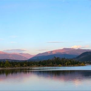 Meet your Posher, Mildred